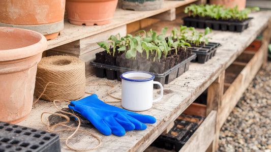 Make May the month when you really sow the seeds of success in the garden